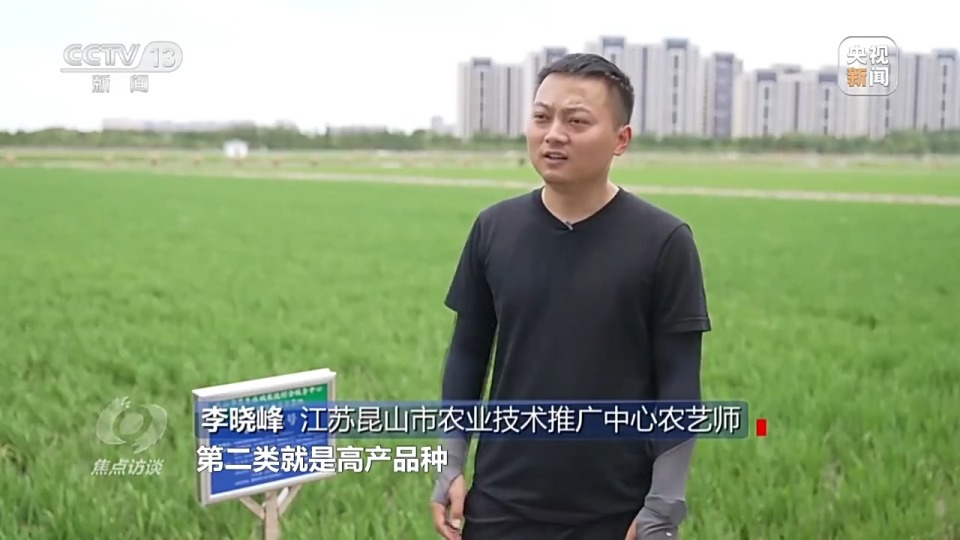 焦点访谈丨良田+良种+良机+良法 来看各地保丰收秘籍