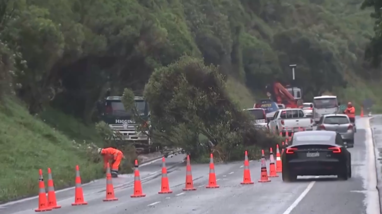 新西兰惠灵顿遭强暴雨侵袭 引发洪涝灾害与山体滑坡 居民紧急疏散