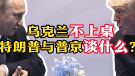 乌克兰不上桌 特朗普与普京见面谈什么？