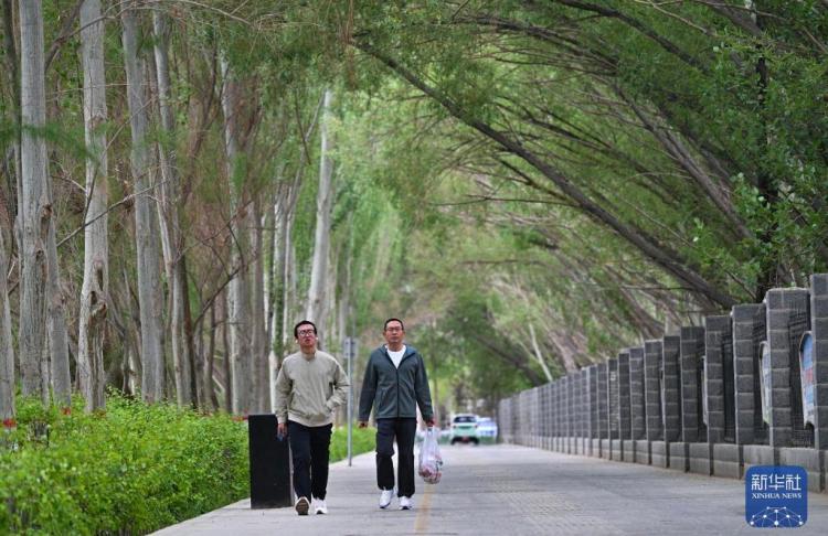沿青藏铁路 看“天路”传奇丨跨越七十余载光影，看格尔木一城生长