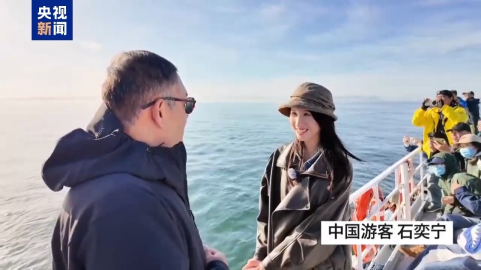 记者Vlog丨南非赫曼努斯“鲸鱼节” 生态与文化交织的海洋盛会