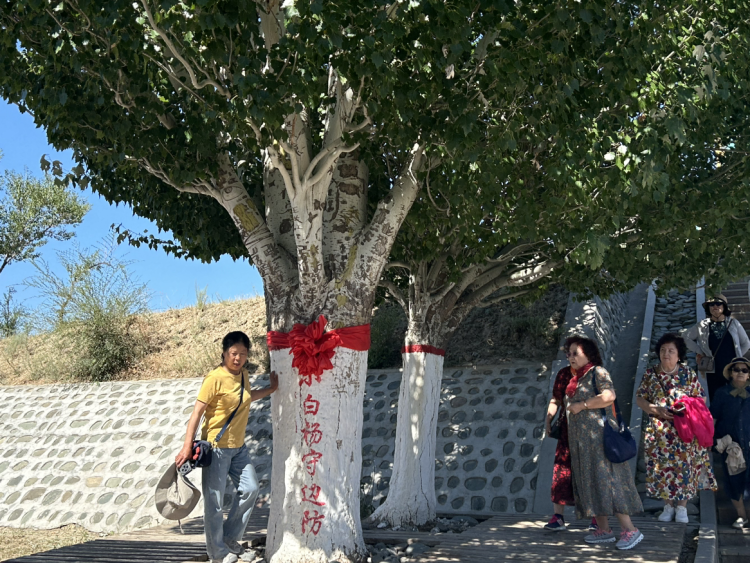石榴花开 籽籽同心丨一棵白杨树 万千戍边情——探访塔城“小白杨哨所”的精神密码
