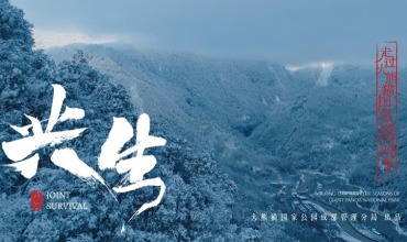 Promotional Film Joint Survival for the Giant Panda National Park Chengdu Section Officially Released_fororder_1