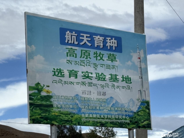 辉煌60年•我们的家园│行走在高原之上：触摸新时代幸福西藏的脉搏——“辉煌60年·我们的家园 幸福美丽西藏”网络主题活动手记