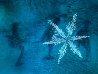 砥砺奋进七十载 天山南北谱华章丨解码人类滑雪起源地：阿勒泰