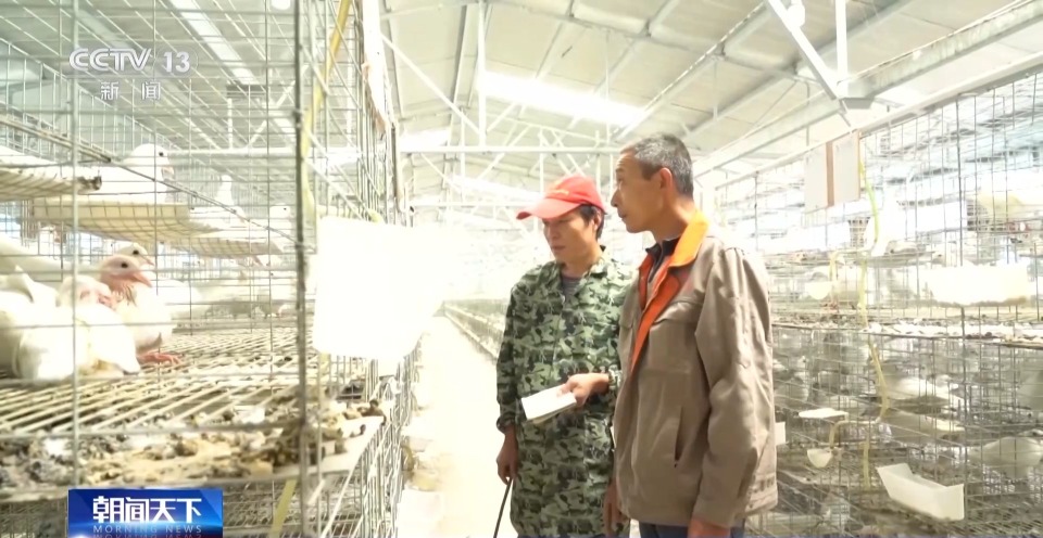 为农户建立金融“画像” 化解农村融资难各地有“解题”新思路