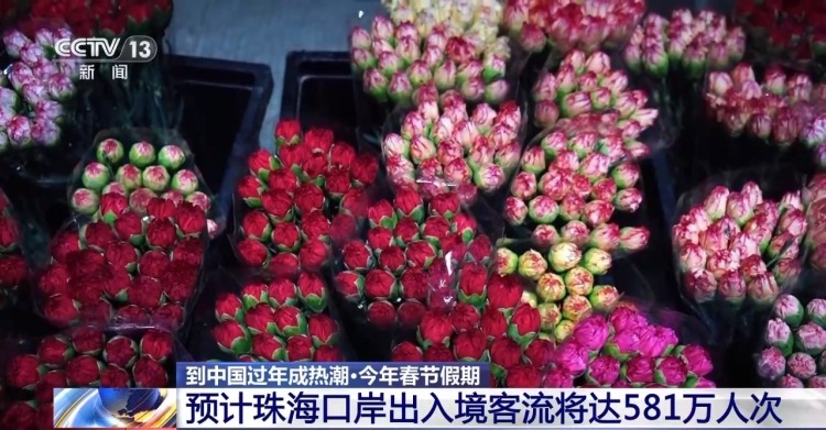 视频丨到中国过年成热潮 外国旅客：聚在一起庆祝春节真是太好了！