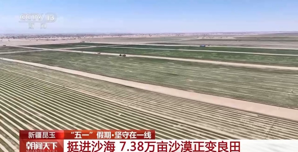 挺进沙海鏖战不停歇 7.38万亩沙漠正变良田