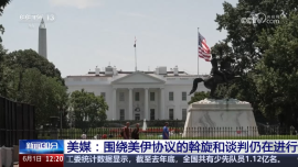 美媒：围绕美伊协议的斡旋和谈判仍在进行