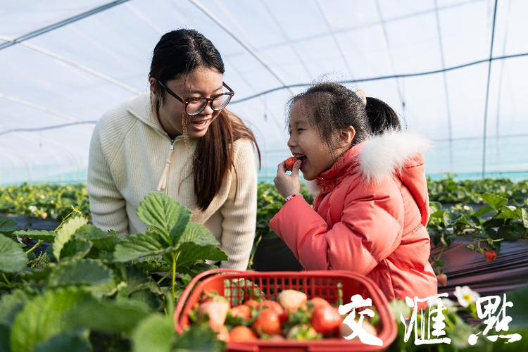 走进多彩大丰 图说发展故事