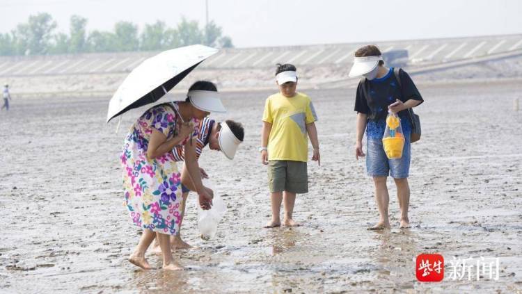 滩涂寻蛤、渔港抢鲜 上海家庭乐游江苏如东之“鲜”——“吃得好、住的好，下次还要再来！”