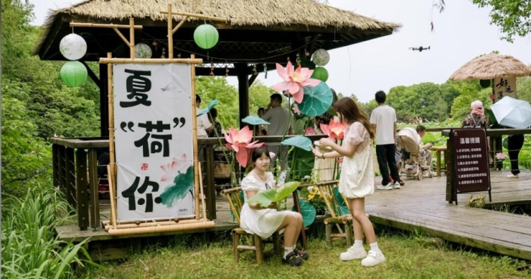 苏州太湖国家湿地公园荷花市集清雅启幕——荷风雅集·江湖雅韵共绘湿地夏日盛景_fororder_20260622_100444_006