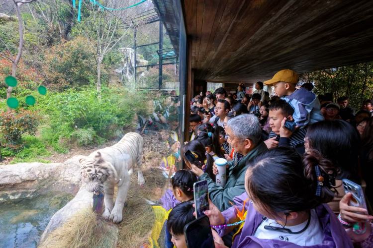 图集丨这，是春假首日的南京！_fororder_微信图片_20260402092909_6_79
