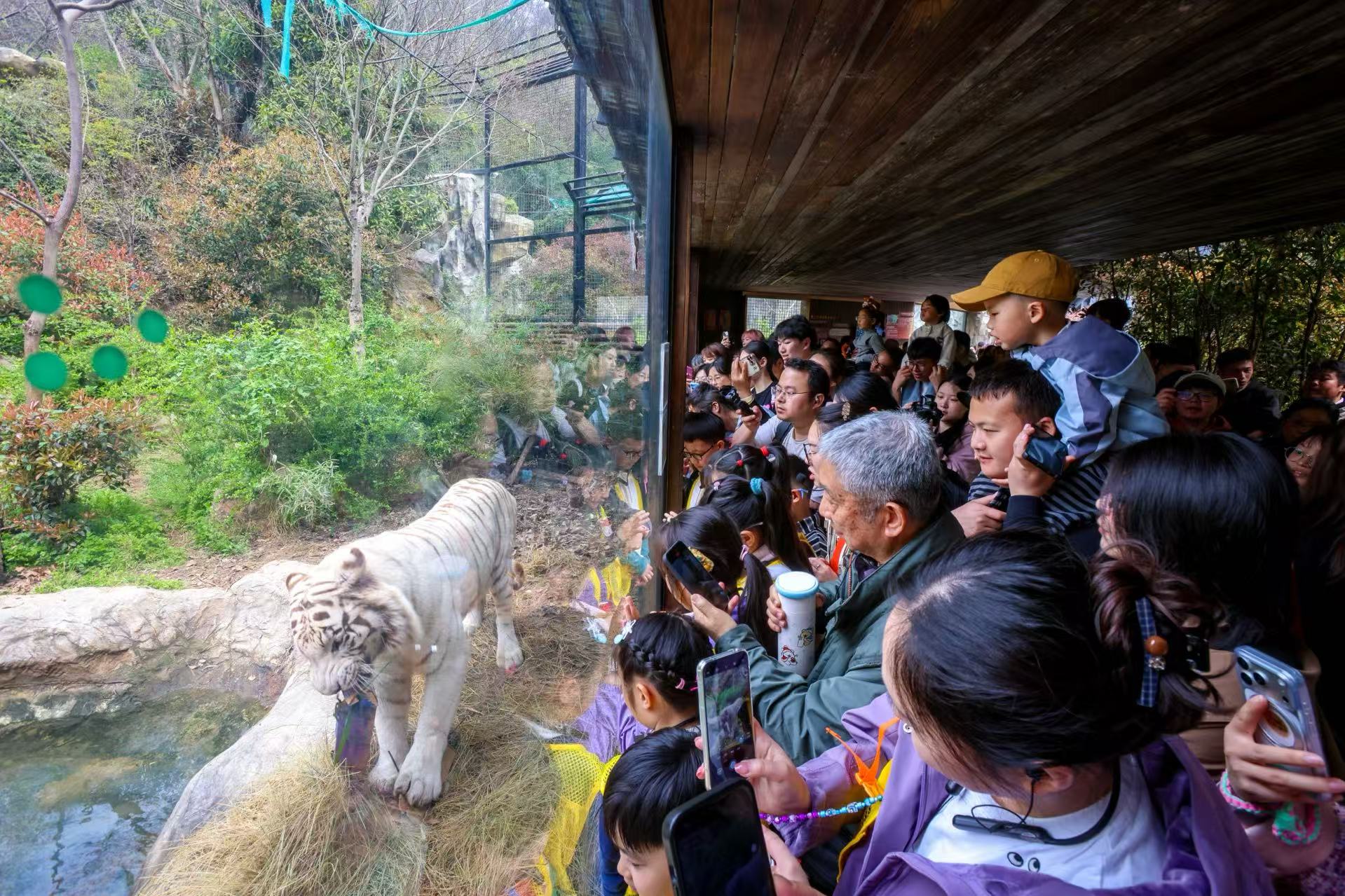 图集丨这，是春假首日的南京！_fororder_微信图片_20260402092909_6_79