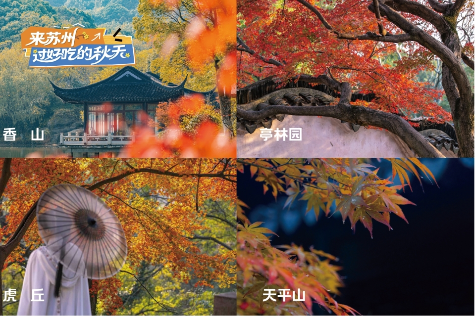 苏州文旅邀您来苏州 过好吃的秋天