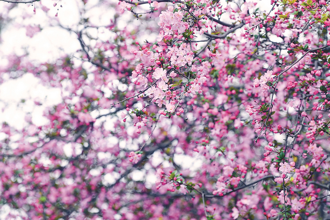 图片默认标题_fororder_微信图片_20260323093737