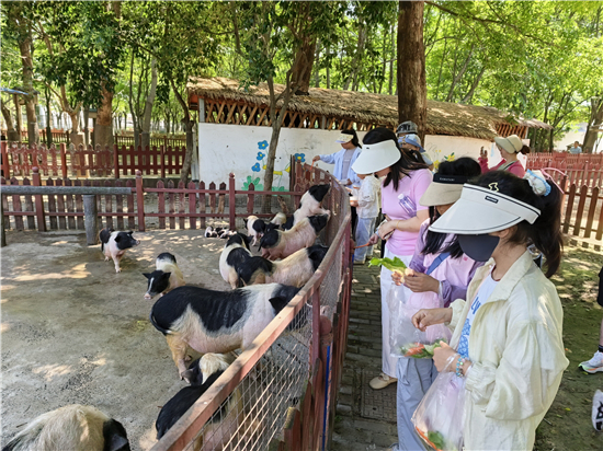 泰州海陵城西:亲近自然·萌宠相伴——“六一”儿童节主题活动