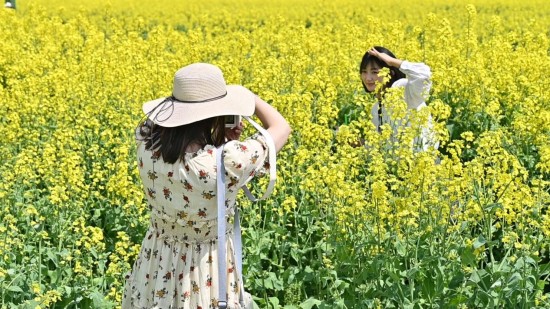 淮安市清江浦区:城郊荒地里长出“诗与远方”