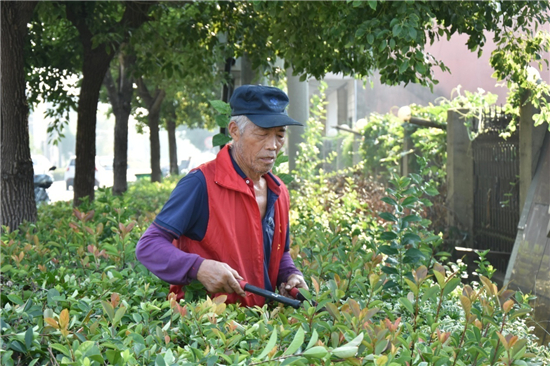 图片默认标题_fororder_图片23