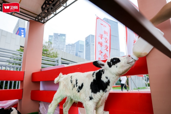 雨后天晴遇“鲜”机 南京乳业嘉年华周末狂欢开启_fororder_图片2_副本
