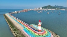 连云港那片海 海豹回来了