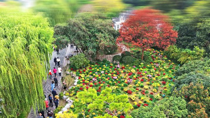 扬州：人观景 菊争艳_fororder_0c20539e-e709-452f-a995-19838523a802