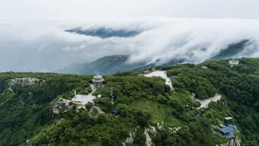 江苏连云港：云台林间好“丰”景