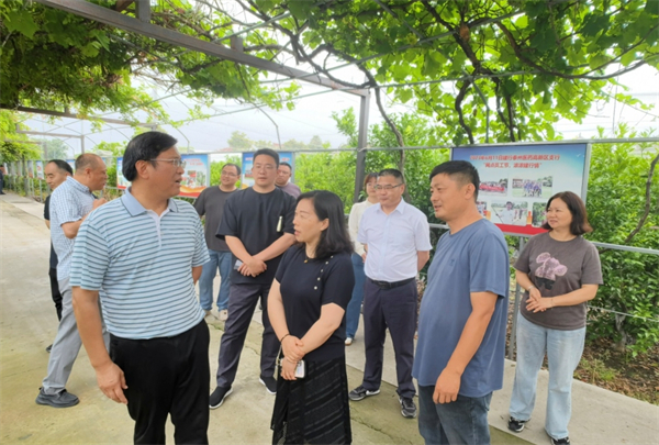泰州：“‘媒’好出圈”看海陵 探访苏陈镇乡村振兴新实践_fororder_9