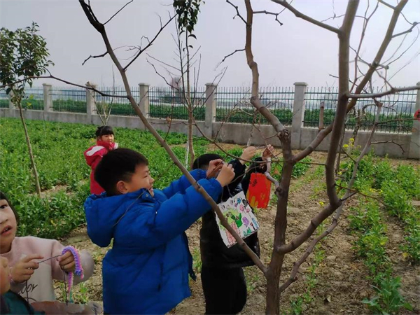 东台市五烈镇干群开展义务植树活动 共绘美丽乡村新画卷_fororder_33