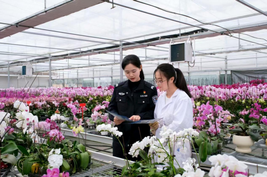 泰州市罡杨镇法治清泉润花乡 产业复苏振乡村_fororder_图片 1