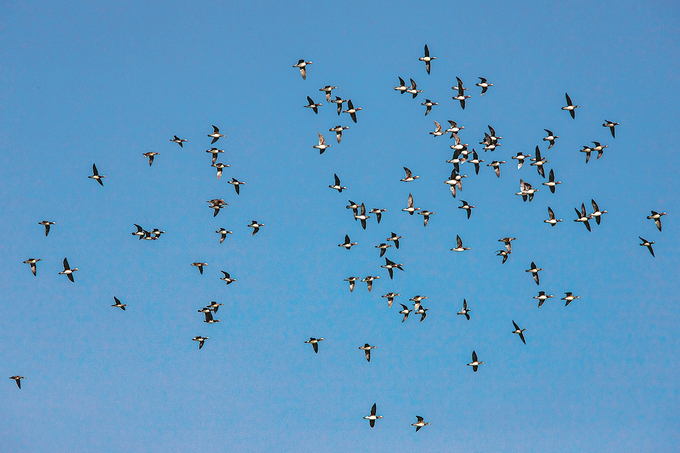 图片默认标题_fororder_微信图片_202601050939291