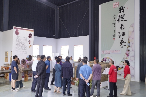 雨花石地质公园亮相南京矿博会 寿嘉华等专家考察园区建言献策_fororder_图片5_副本