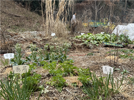 图片默认标题_fororder_4(1)