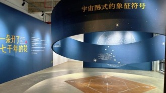 这一朵花，开了七千年！“中国四叶纹纹样溯源展”启幕