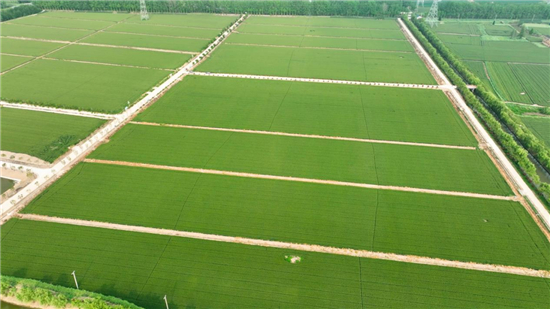 盐城东台市农业农村局携手五烈镇谱写乡村振兴新篇章_fororder_图片5_副本