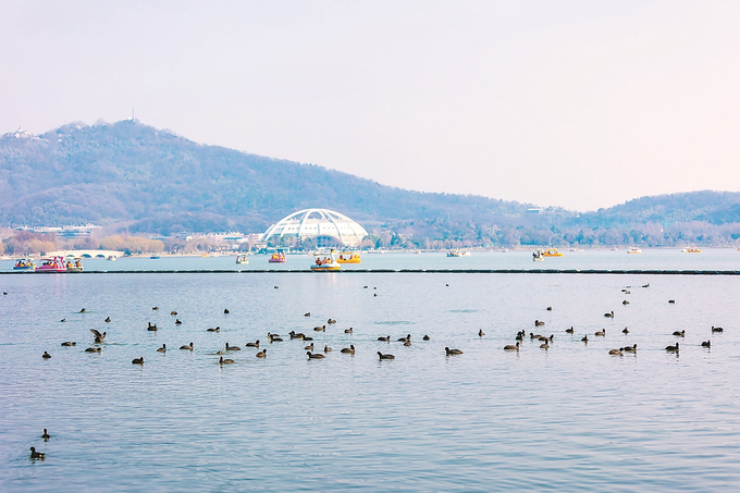 图片默认标题_fororder_微信图片_202601050939292