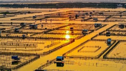 阳澄湖畔醉夕阳 水乡风光入画来
