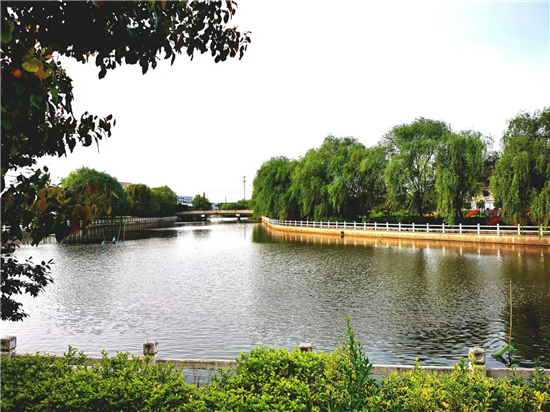 泰州兴化戴南镇帅垛村因地制宜打造“水名片”_fororder_图片1_副本