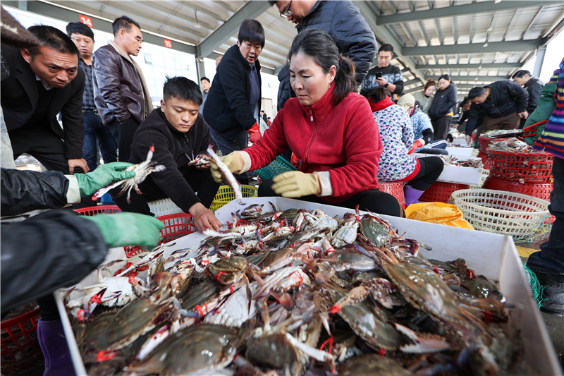 江苏连云港：秋捕梭子蟹喜丰收_fororder_20251030_093856_001