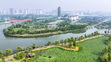 扬州：运河三湾风景区绿意浓