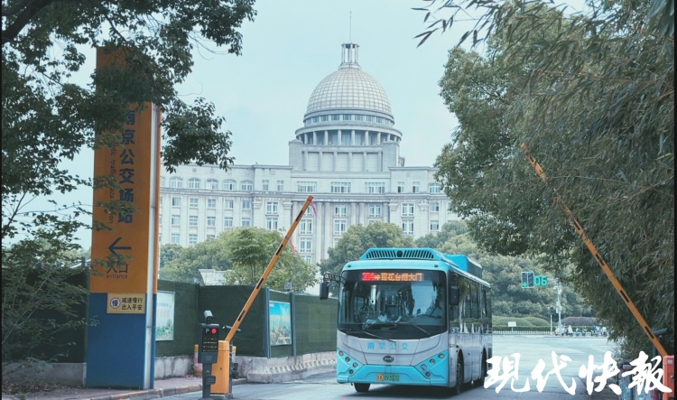 繁花满城，南京赏花公交专线来了_fororder_20260330_093317_000