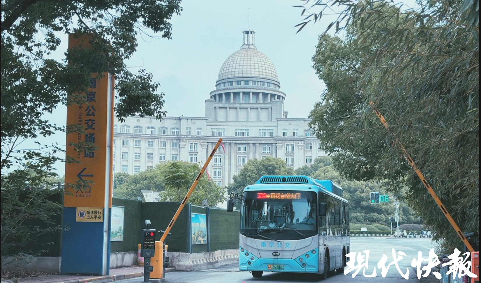 繁花满城，南京赏花公交专线来了_fororder_20260330_093317_000