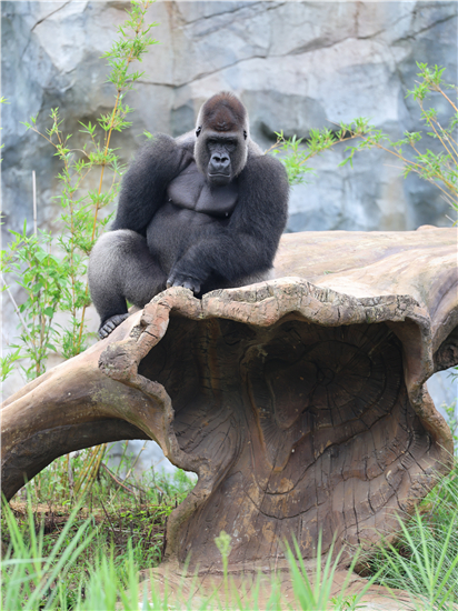 图片默认标题_fororder_8(1)_副本