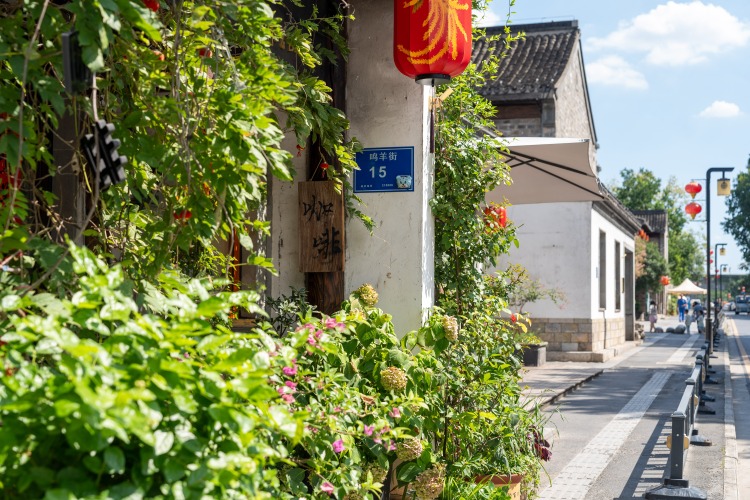来鸣羊街转转，感受原汁原味老南京