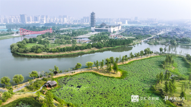 扬州：运河三湾风景区绿意浓