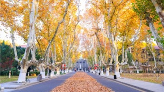 东南大学梧桐文化节启幕 新生快闪以青春之歌唱响报国强音