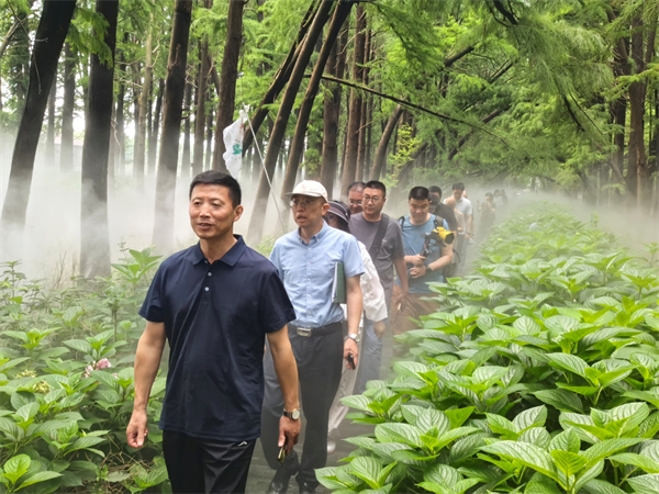 辉映幸福水城 泰州“e线先锋 赋能‘四敢’”网络主题活动举行_fororder_8