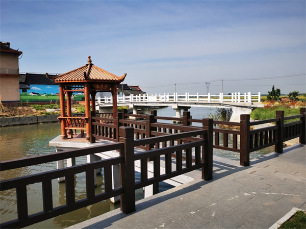泰州兴化戴南姜太村：麦浪滚滚大路宽_fororder_10