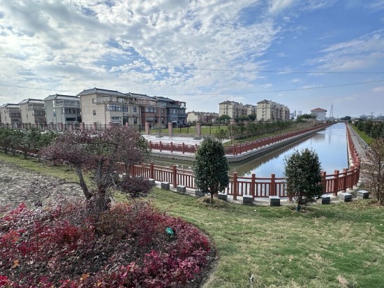 泰州海陵城西街道：人居环境提质绘就和美乡村新图景_fororder_图片 1