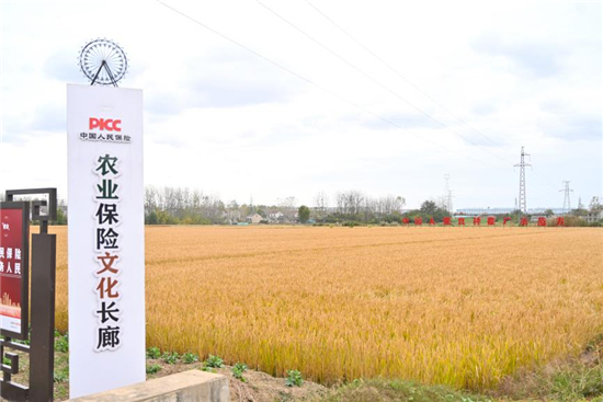 淮安清江浦区：农业保险让种植户“旱涝保收”